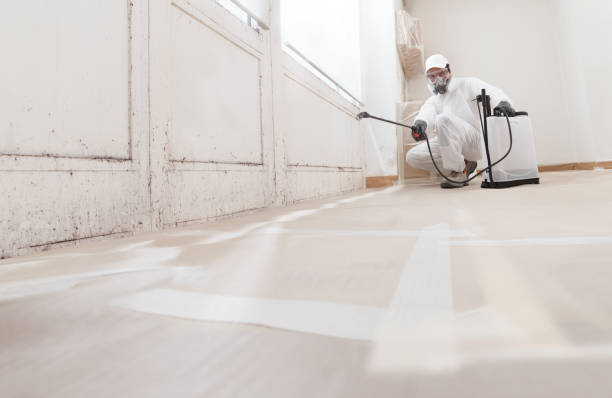 24/7 Emergency Attic Mold Remediation experts in Dunn Loring, VA