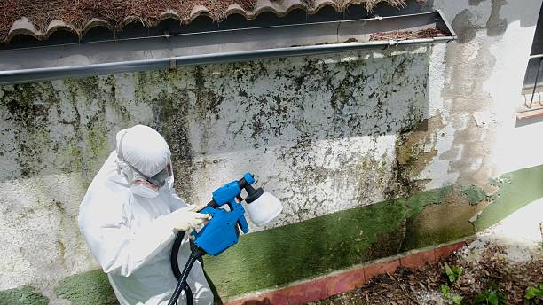 Top rated local Attic Mold Remediation specialists in Dunn Loring, VA
